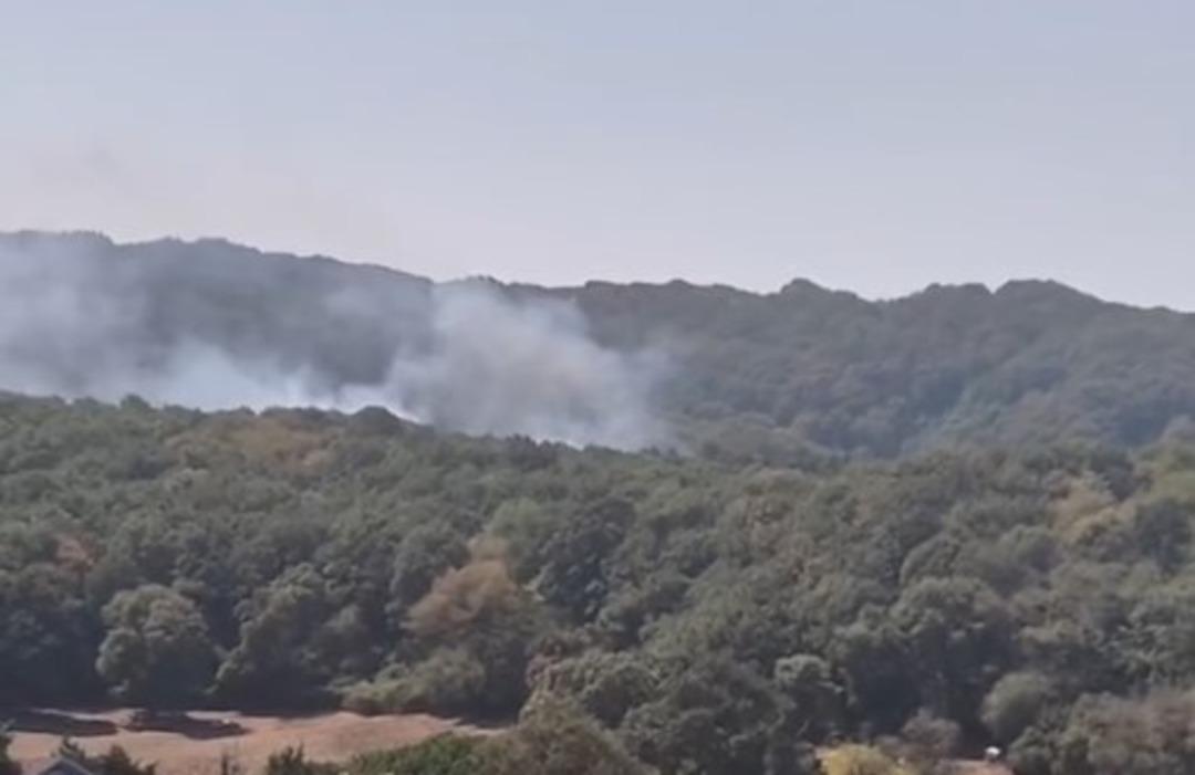 Ormanlık bölgede Saruyer'de ateş! İtfaiyeciler Bölge 4'te sevk edildi