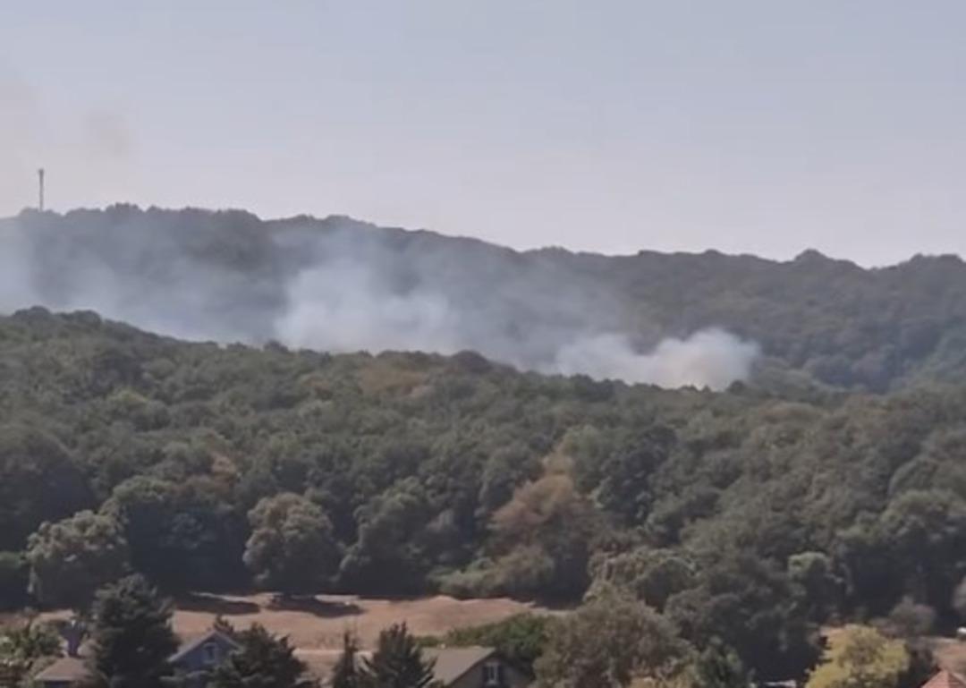 Ormanlık bölgede Saruyer'de ateş! İtfaiyeciler Bölge 3'te sevk edildi