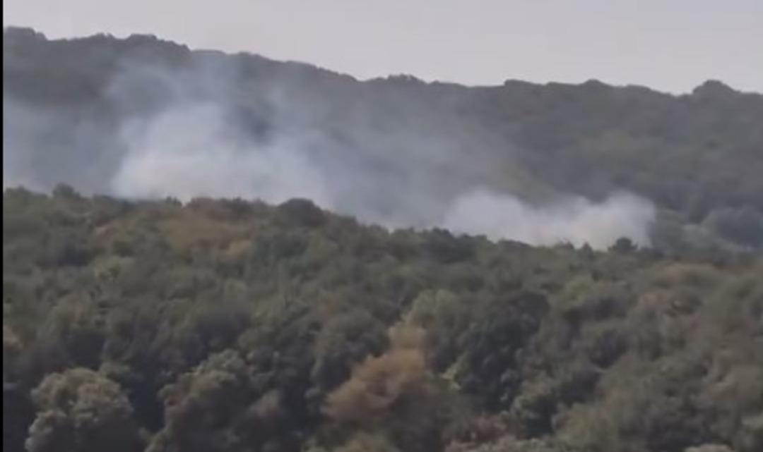Ormanlık bölgede Saruyer'de ateş! İtfaiyeciler Bölge 2'de sevk edildi